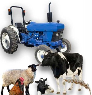 Landwirtschaft